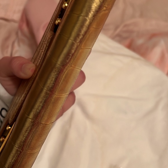 Delvaux Tempete Clutch: Alligator Feuille d”Or - Picture 4 of 10